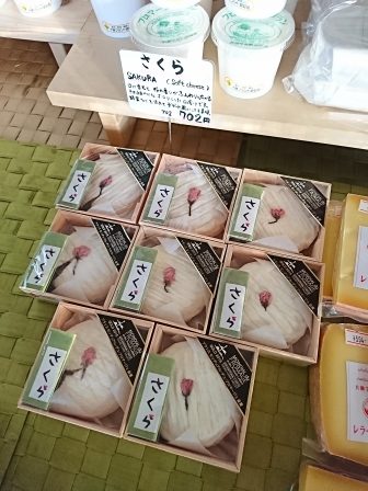 さくら